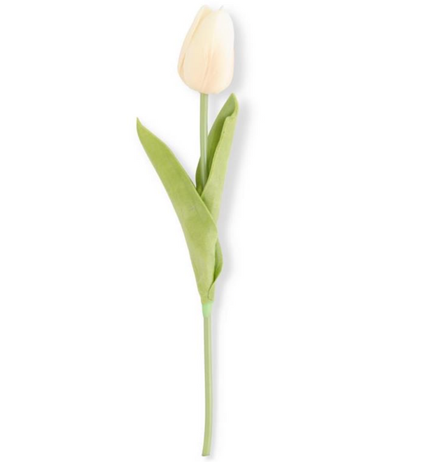 Tulip Stem