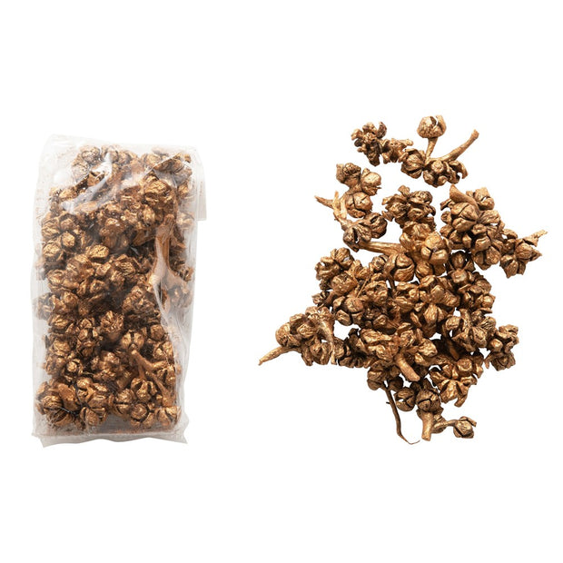 Dried Natural Cyprus Pods in Bag