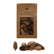 Dried Pinecones